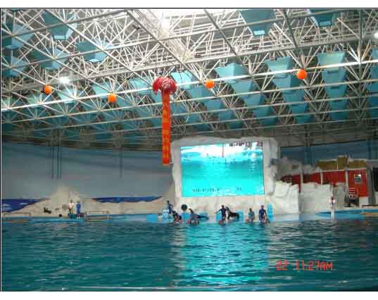 长乐游泳馆螺栓球网架